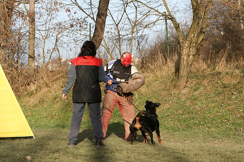 img_5438